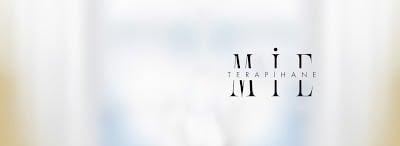 Özel Terapi Hane Rehberlik ve Psikolojik Danışma Merkezi