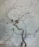 Doç.Dr Özhan Merzuk Uçkun