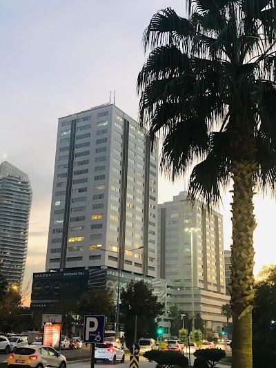 Dr. Figen Yargucu Zihni, Romatoloji Uzmanı