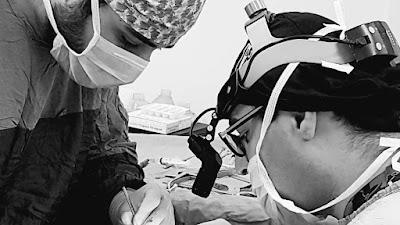 Op. Dr. Can Pamukcu Göz Kliniği, Göz Kapağı Hastalıkları ve estetiği, Protez Göz, Göz Tembelliği, Şaşılık, fraksiyonel lazer