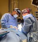 Dr. Abdul Salam Al Belushi