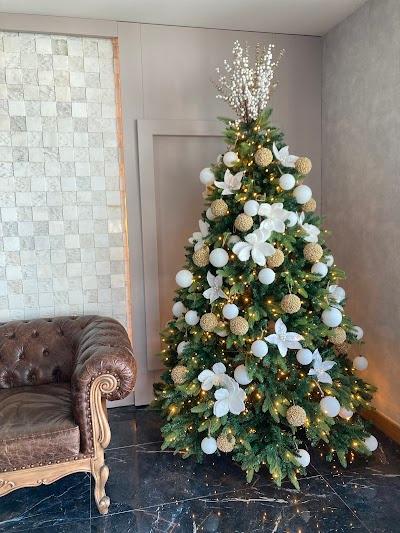 Özel Defne Aydın Polikliniği