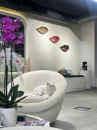 د. متخصص Zeynel Tolga Kayan Kliniği (DR ZTK)