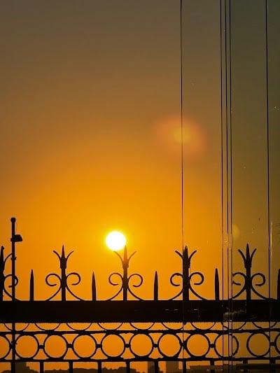 Prof.Dr. Meltem UYAR Algoloji - Ağrı Tedavisi