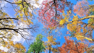 Özel Aydın Ağız Ve Diş Sağlığı Polikiniği