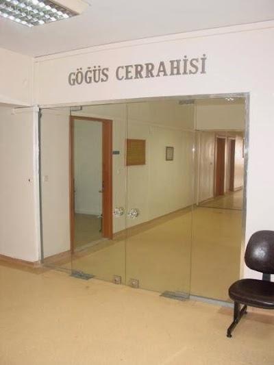 İstanbul Üniversitesi İstanbul Tıp Fakültesi Göğüs Cerrahisi Kliniği