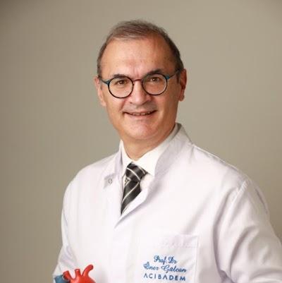 Prof. dr. Öner Gülcan, Kalp Ve Damar Cerrahisi