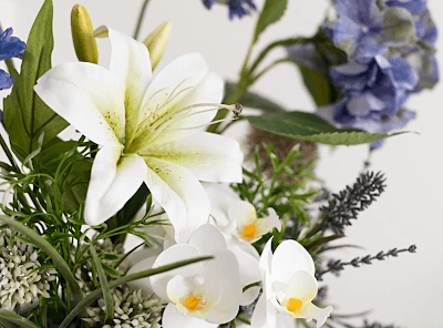 Onkologische Schwerpunktpraxis Berlin, Janina Herbin, Dr. Jörg Reichert, Dr. Katja Mors