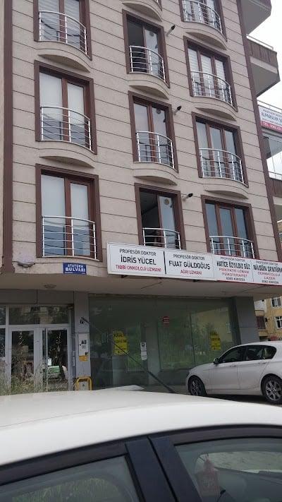 Hatice Özyıldız Güz