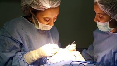 Göz doktoru İzmir | Op. Dr. Ebru Acar