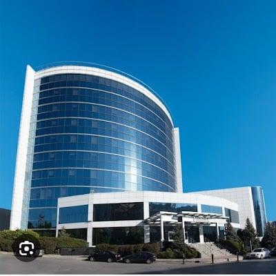 Dr. Öğr. Üyesi Hülya Yonucu