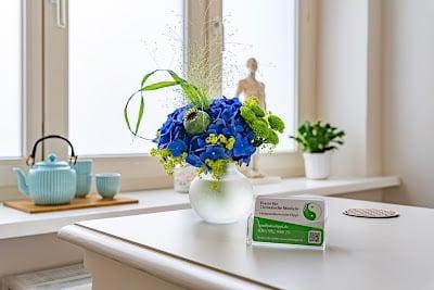 Praxis für Chinesische Medizin (TCM, Akupunktur) in Berlin Friedrichshain - Julia Dippl