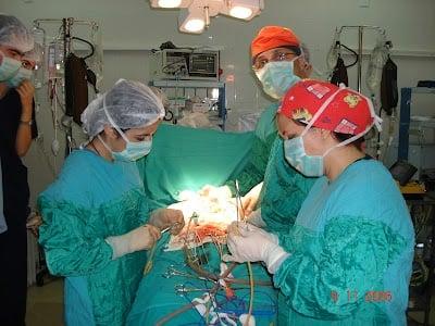 Prof. Teoman Coşkun