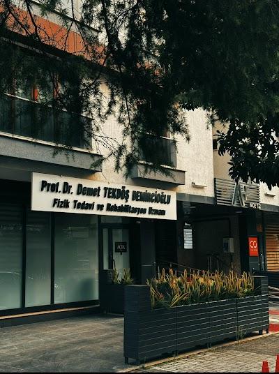 Prof.Dr.Demet Demircioğlu|Fizik Tedavi ve Rehabilitasyon Uzmanı