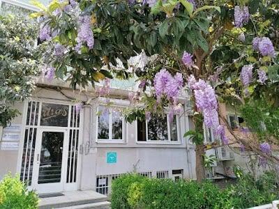 Uzm. Dr. Elvan Çiçekçi, Psikiyatrist & Psikoterapist