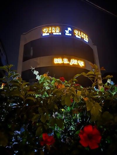 Pera Medical Health Science - Uzm. Dr. Aslı KIR