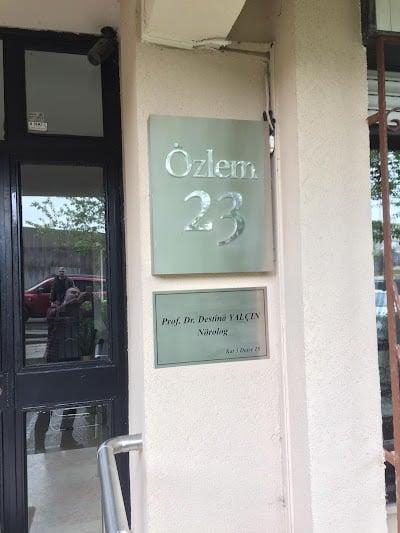 Prof.Dr.Destînâ Yalçın