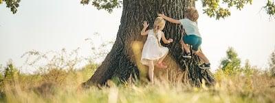 Dr Ali Safa Sayım - Çocuk ve Ergen Psikiyatri Uzmanı