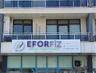 Eforfiz Sağlıklı Yaşam Merkezi