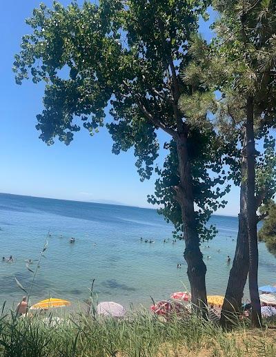 Uzman Psikolog Tutkunur Ünlü- Han psikolojik Danışmanlık