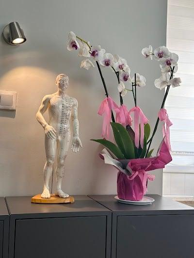 Doç. Dr. Melik SEYREK