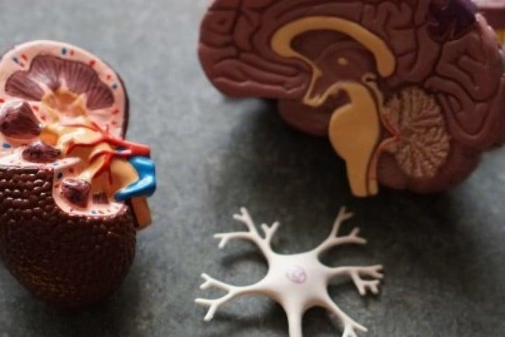 Prof. Dr. Barbaros Başeskioğlu Eskişehir Uroloji Kliniği