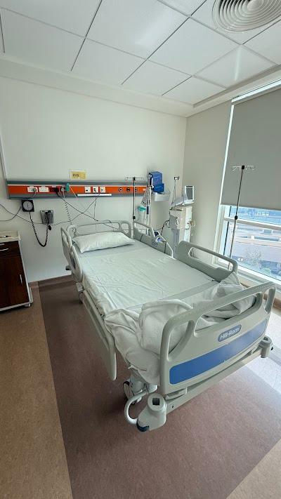 Dr Piyush Somani Gastroenterologist