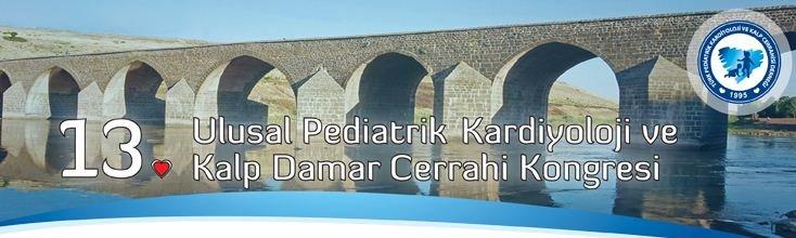 Doç. Doç.Dr. Evren SEMİZEL, 13. Ulusal Pediatrik Kardiyoloji ve Kalp Damar Cerrahi Kongresi'ne katıldı.